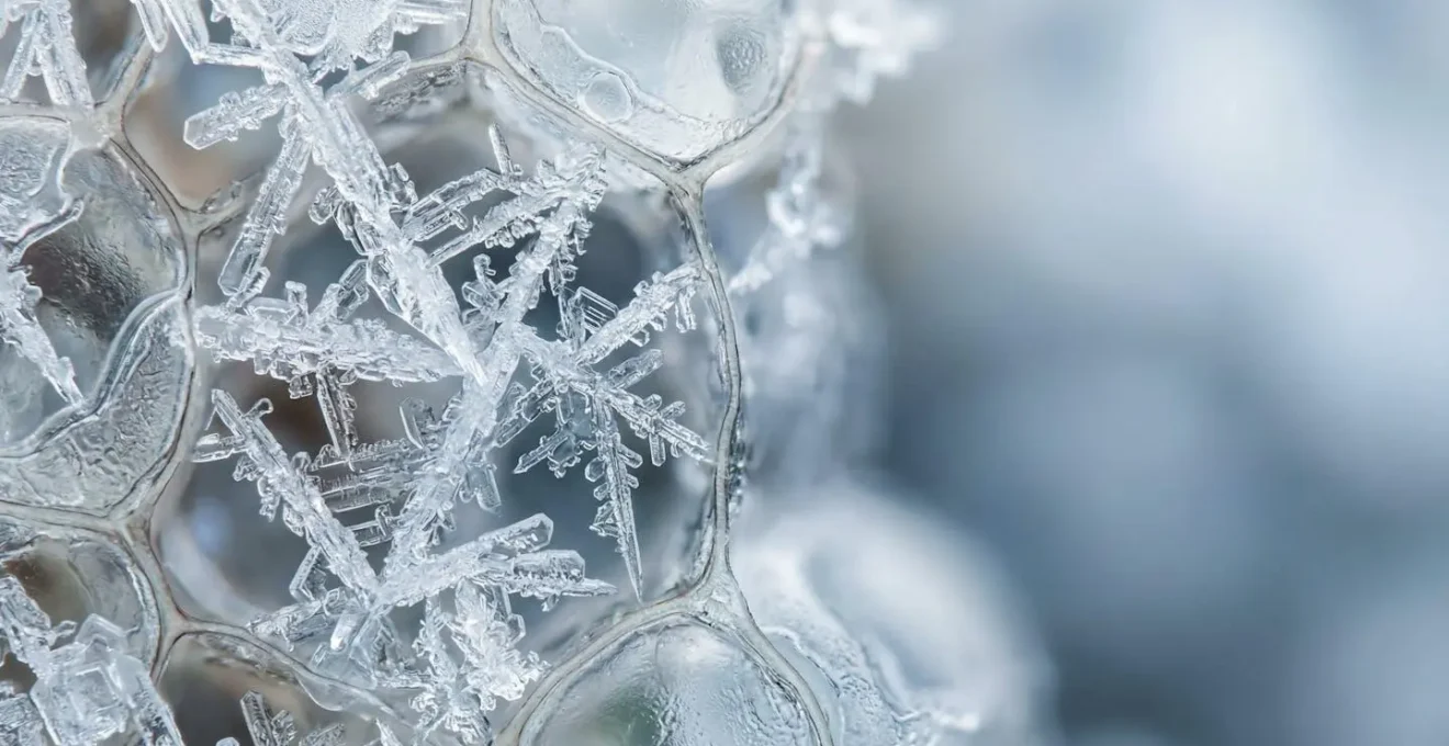 Trattamento di criolipolisi con applicatore su tessuto adiposo