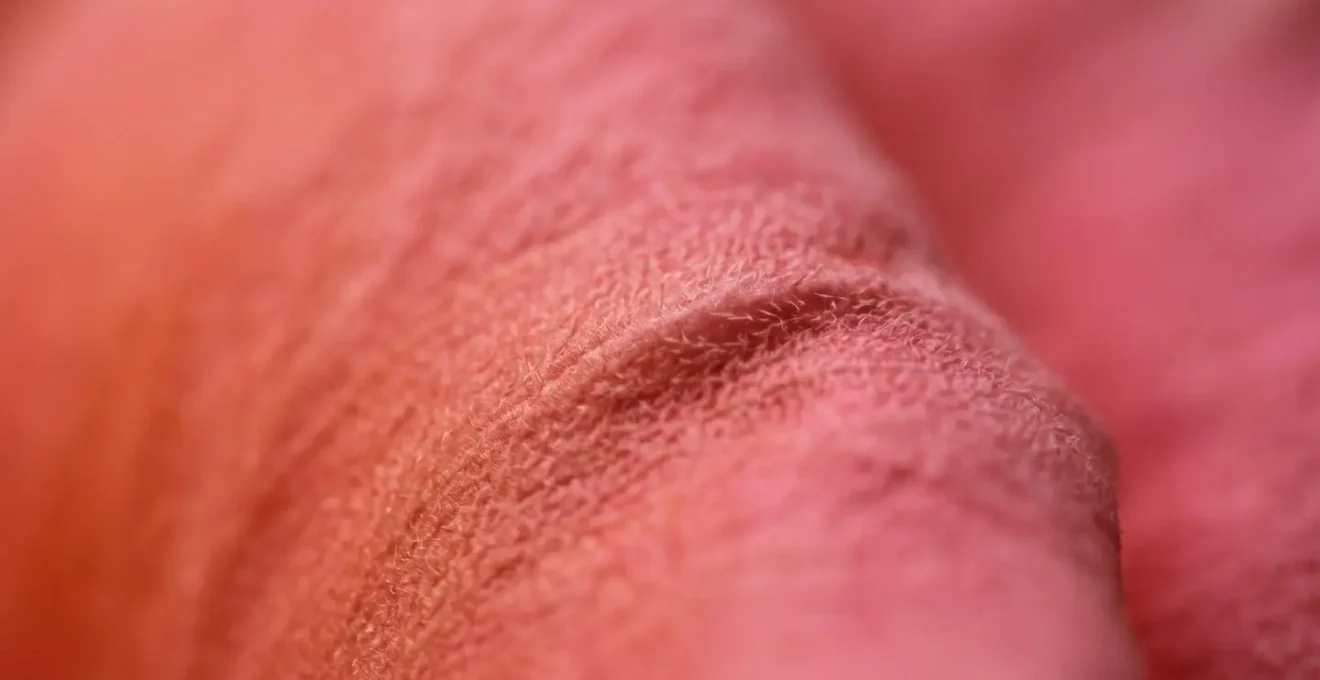 Dettaglio macro di texture organica che mostra transizioni graduali e sfumature naturali